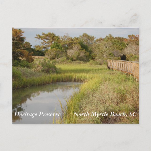 Heritage Preserve - North Myrtle Beach, SC Postcard (Front)