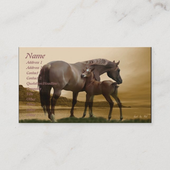 Hériter le Carte de visite du vent (Devant)