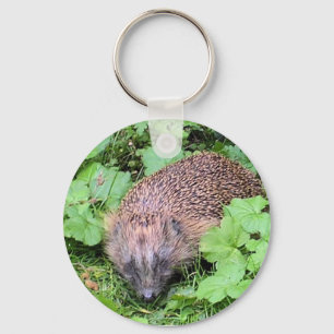Herman Hedgehog Keychain