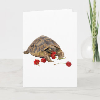 Hermann Tortoise and Strawberries Card