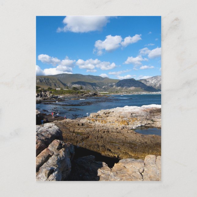 Hermanus coastline postcard (Front)
