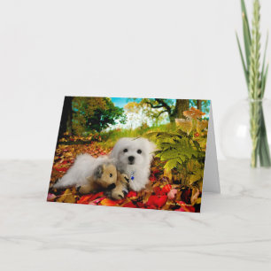 Hermes la carte de voeux maltaise de thanksgiving