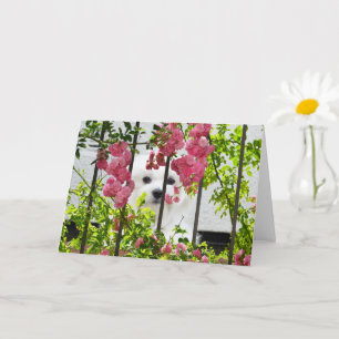 Hermes, la carte de voeux vierge maltaise