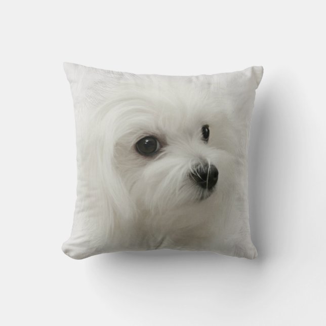 Hermes le coussin maltais de coussin (Recto)