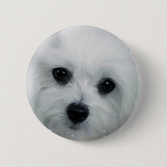 Hermes the Maltese 2 Inch Round Button (Front)