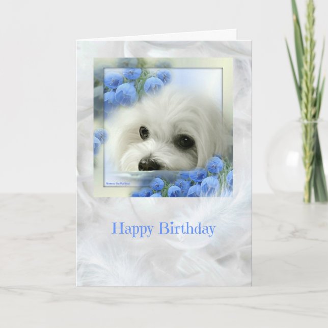 Hermes the Maltese Birthday Card (Front)