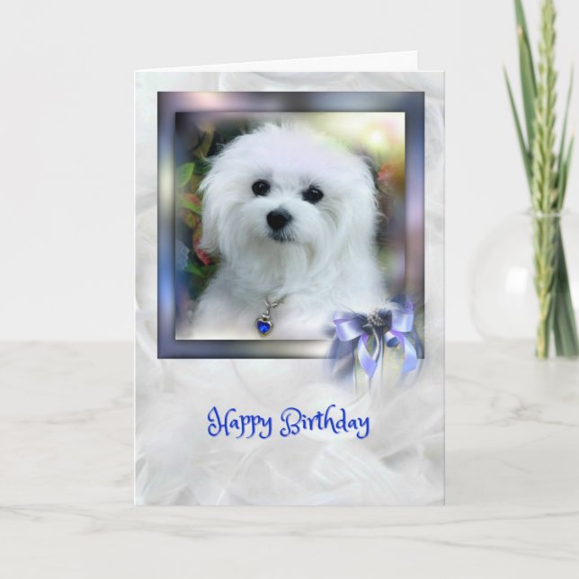 Hermes the Maltese Birthday Card (Front)