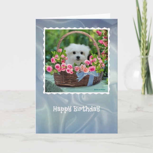 Hermes the Maltese Birthday Card (Front)