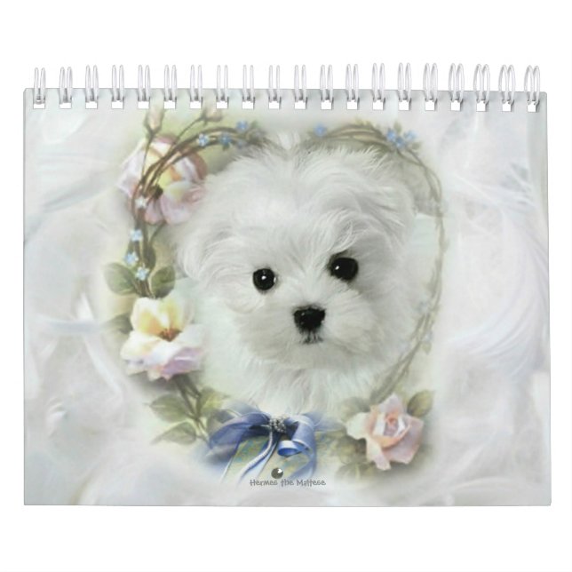 Hermes the Maltese Calendar (Cover)