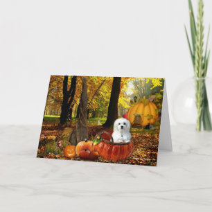 Hermes the Maltese Card