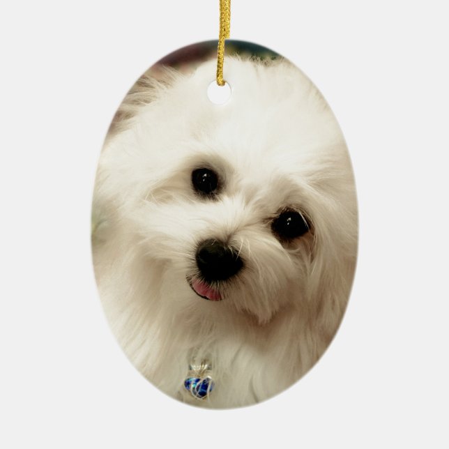 Hermes the Maltese Ceramic Ornament (Front)