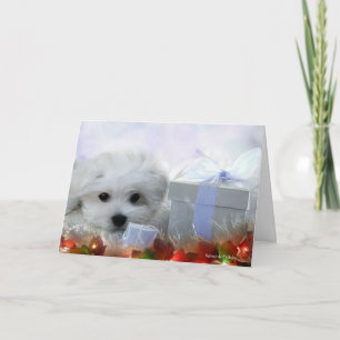 Hermes the Maltese Christmas Greeting Card