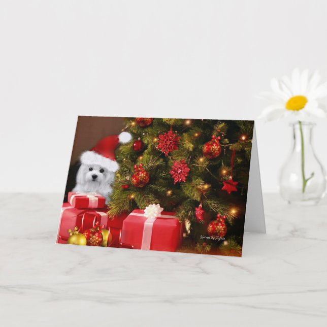 Hermes the Maltese Christmas Greeting Card (Small Plant)