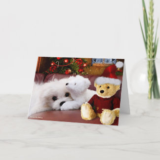 Hermes the Maltese Christmas Greeting Card
