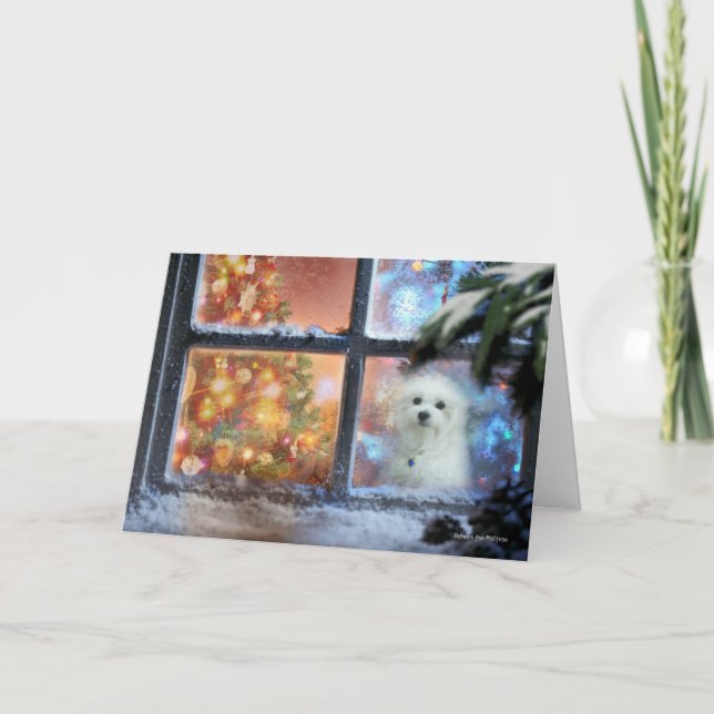 Hermes the Maltese Christmas Greeting Card (Front)