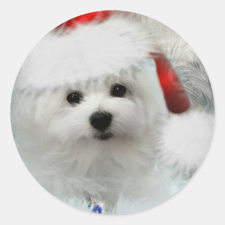 Hermes the Maltese Classic Round Sticker