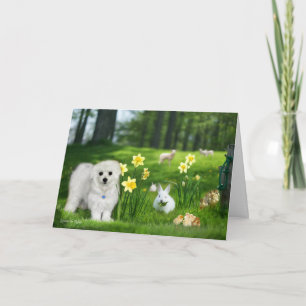Hermes the Maltese Easter Greeting Card