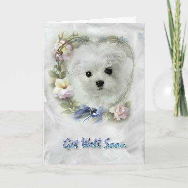 Hermes the Maltese Get Well Soon Card (Front)