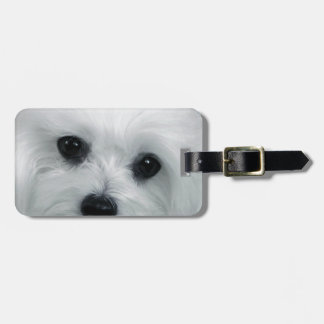 Hermes the Maltese Luggage Tag