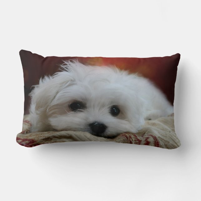 Hermes the Maltese Pillow (Front)