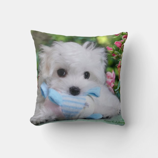 Hermes the Maltese Pillow/Cushion Throw Pillow (Front)