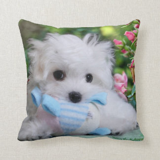 Hermes the Maltese Pillow/Cushion Throw Pillow
