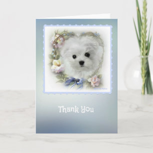 Hermes the Maltese Thank You Card