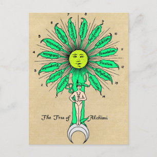 Hermes Tree of Alchemy Mandala Postcard