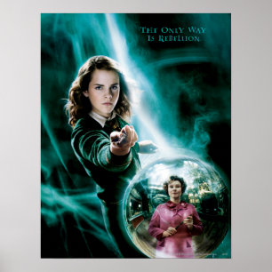 Hermione Granger and Professor Umbridge Poster