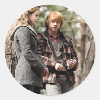 Hermione, Ron, and Harry 2 Classic Round Sticker