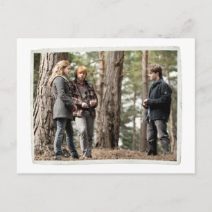 Hermione, Ron, and Harry 2 Postcard