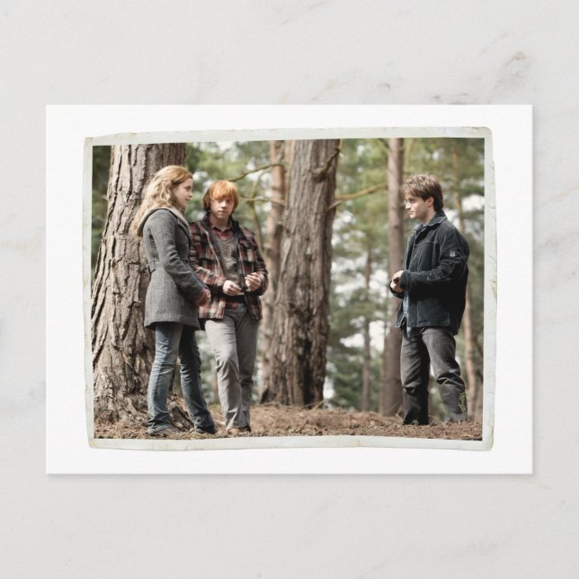 Hermione, Ron, and Harry 2 Postcard (Front)