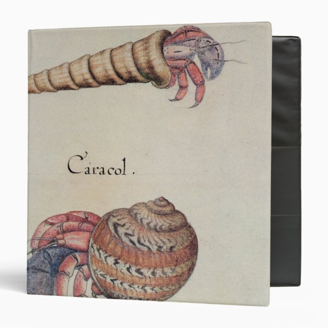 Hermit Crab Binder (Front/Inside)