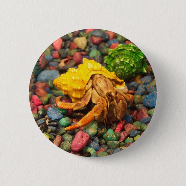 Hermit Crab Button 01 (Front)