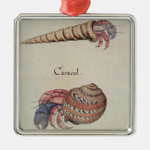 Hermit Crab Metal Ornament