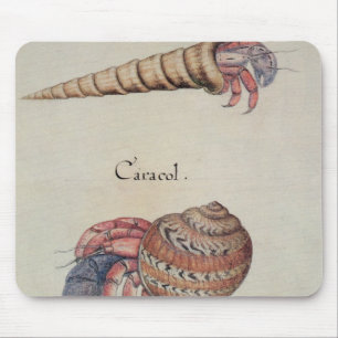 Hermit Crab Mouse Pad