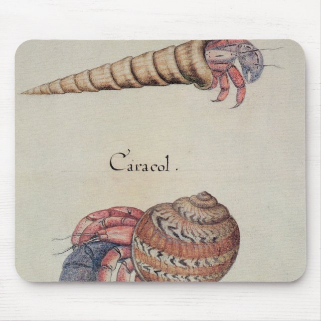 Hermit Crab Mouse Pad (Front)