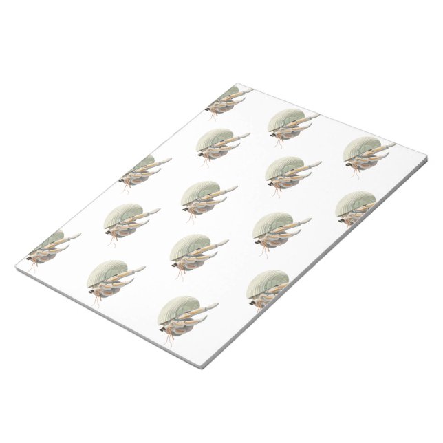 Hermit Crab Notepad (Angled)