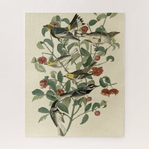 Hermit, Other Warblers, Audubon's Birds of America Jigsaw Puzzle