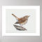 Hermit Thrush Art Print