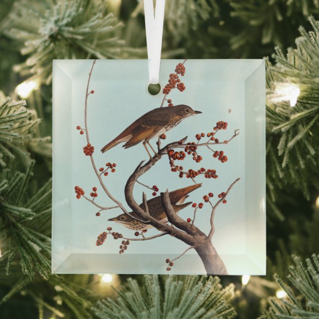 Hermit Thrush Audubon Bird with Red Berries Glass Ornament (Insitu)