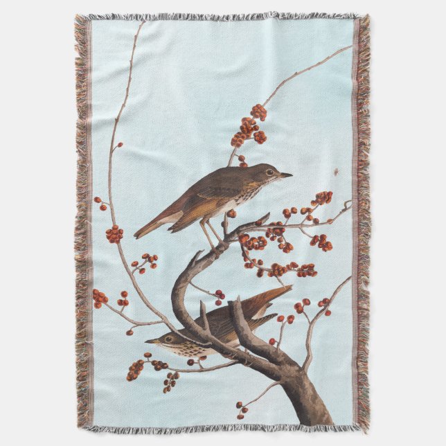Hermit Thrush Audubon Bird with Red Berries Throw Blanket (Front Vertical)