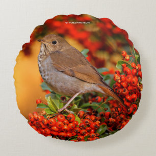 Hermit Thrush Songbird on Scarlet Firethorn Round Pillow