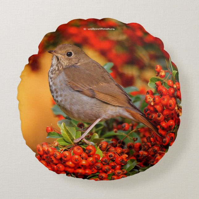 Hermit Thrush Songbird on Scarlet Firethorn Round Pillow (Front)