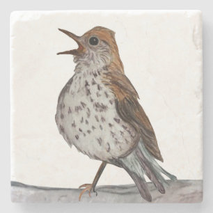 Hermit Thrush Stone Coaster