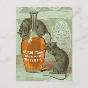 Hermitage Sour Mash Whiskey ad with two rats Postcard