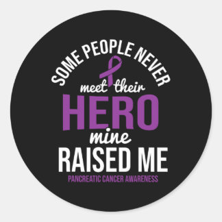 Hero Raised Me Pancreatic Cancer Awareness Pancrea Classic Round Sticker