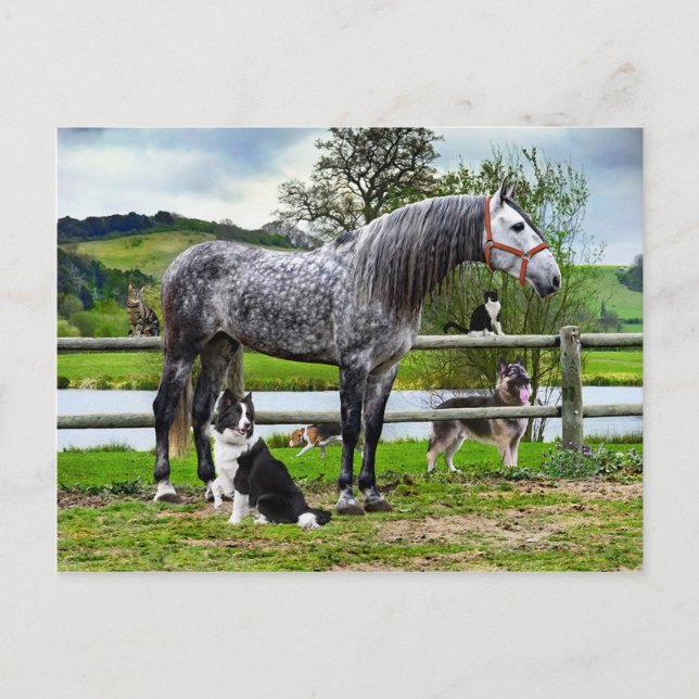 "Hero & The Boys" Postcard (Front)