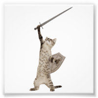 Heroic Warrior Knight Cat
