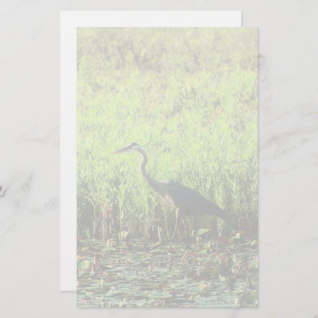 Heron 6449 (Front/Back)